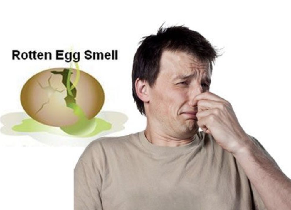 water testing near me